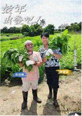 一路向北的旅行 户外真人秀